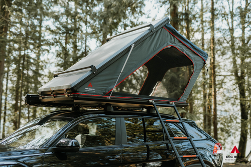 Dog sales car tent